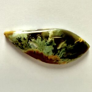 Challis Plume Agate (316)