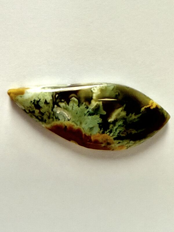 Challis Plume Agate (316)