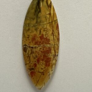 Cherry Creek Jasper (906)