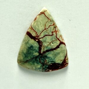Copralite (457)