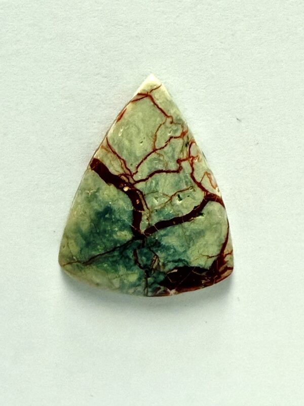 Copralite (457)