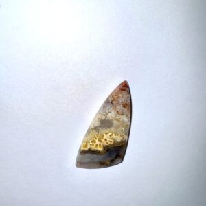 Crazy Lace Agate (258)