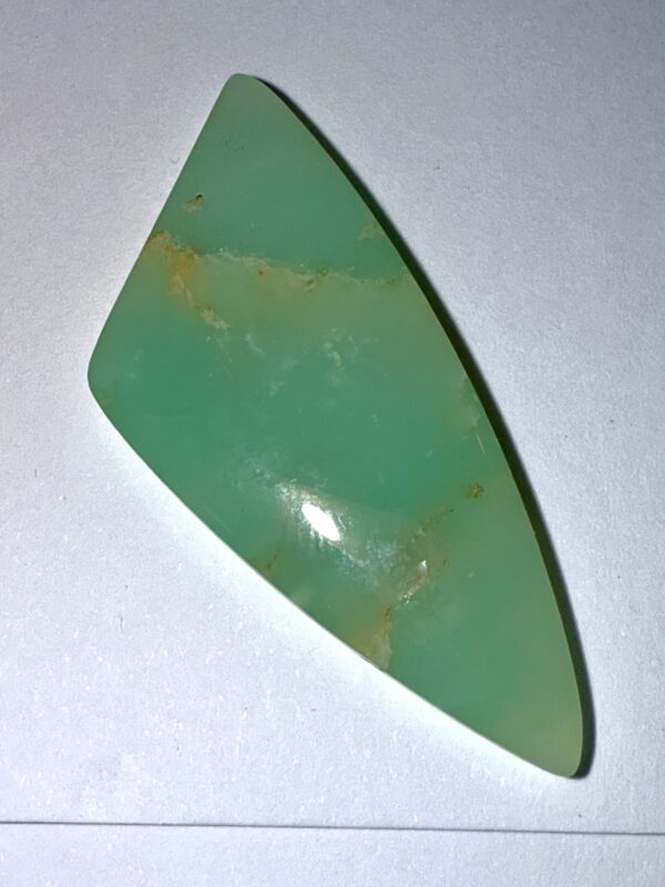 Green Opal Kosovo (113)