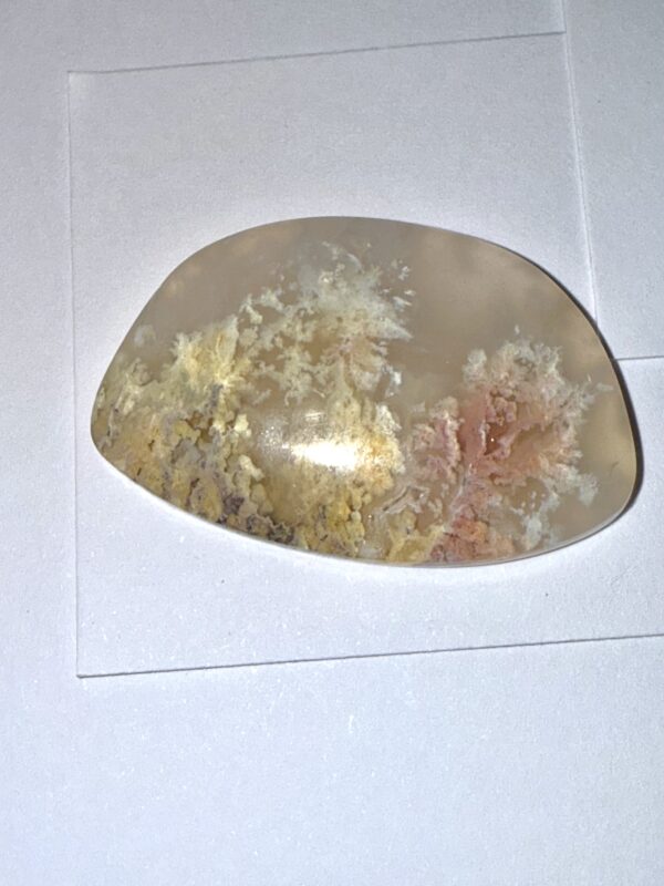Graveyard Point Plume Agate (174)