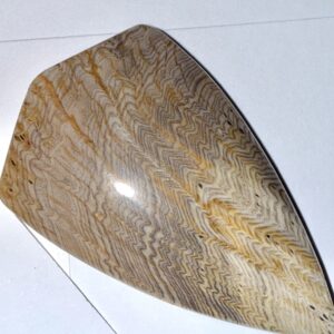 Hells Canyon Petrified Wood (193)