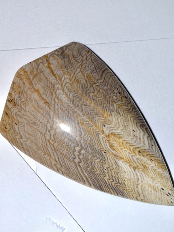 Hells Canyon Petrified Wood (193)