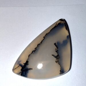 Montana Moss Agate (254)