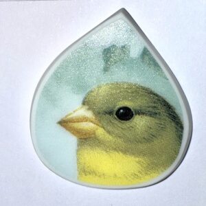 Momma Finch broken China (117)