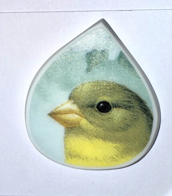 Momma Finch broken China (117)