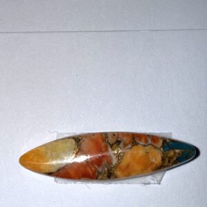 Mohave Turquoise, Spiney oyster, Bronze composite (287)