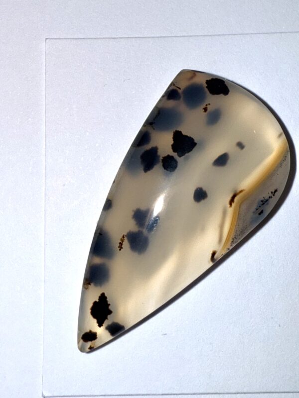 Montana Agate (292)
