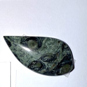 Kambaba Jasper (253)