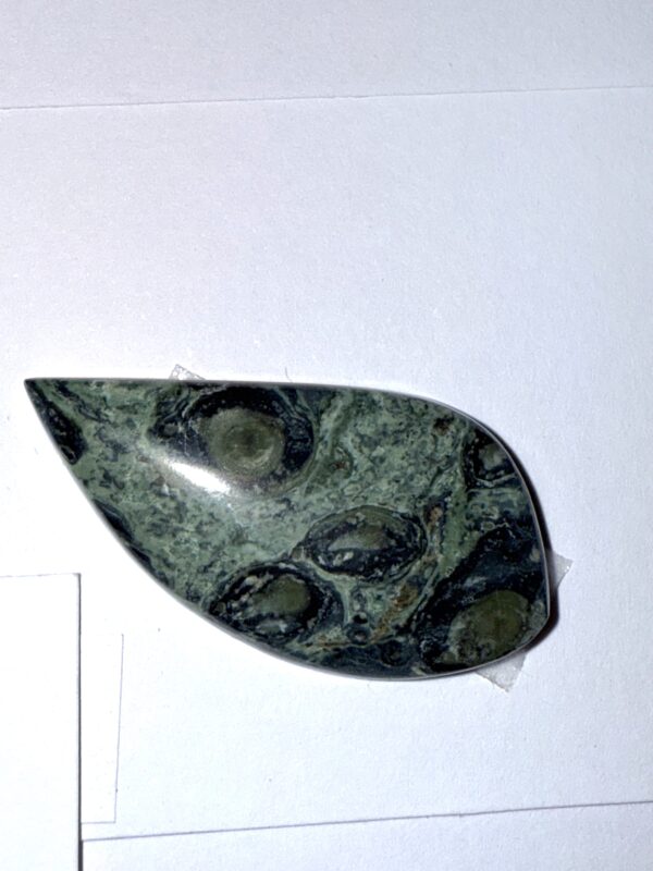 Kambaba Jasper (253)