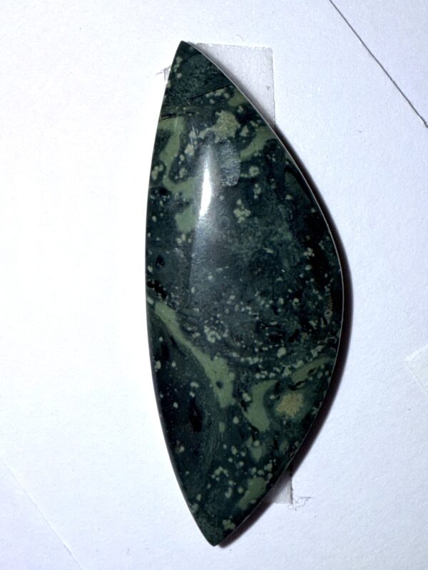 Kambaba Stromatolite Jasper (444)