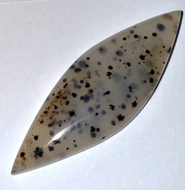 Montana Agate Marquis (137)