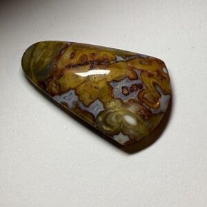 Fossil Coral (410)