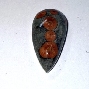 Peanut obsidian  (582)