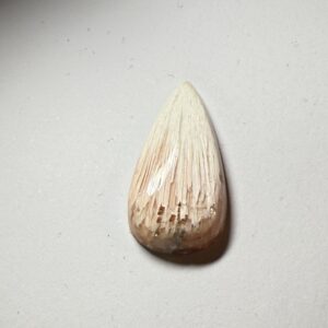 Scolecite (952)