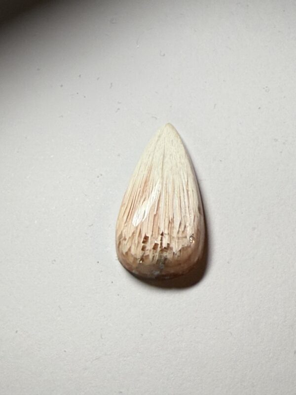 Scolecite (952)