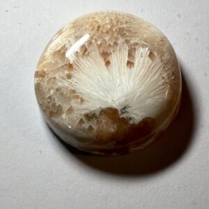 Scolecite (954)