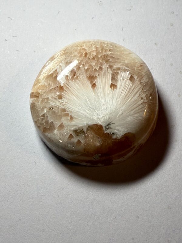 Scolecite (954)
