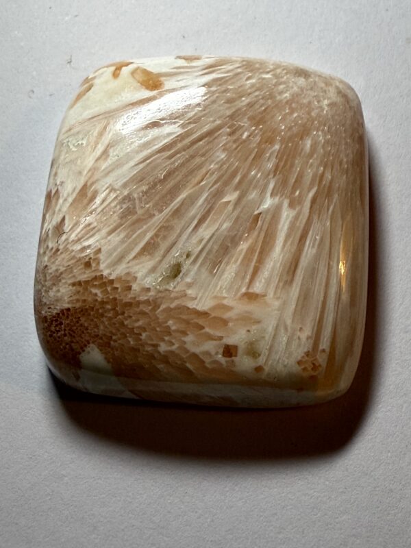 Scolecite (956)