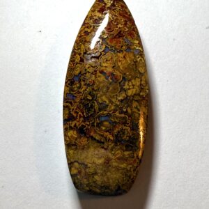 Stromatolite Hungary (114)