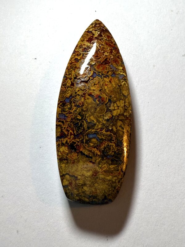 Stromatolite Hungary (114)