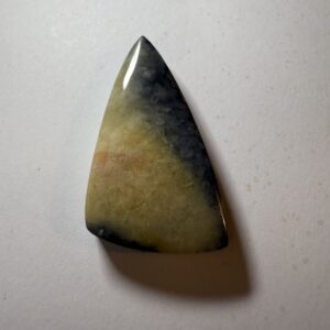 Tampa Bay Fossil Coral (306)