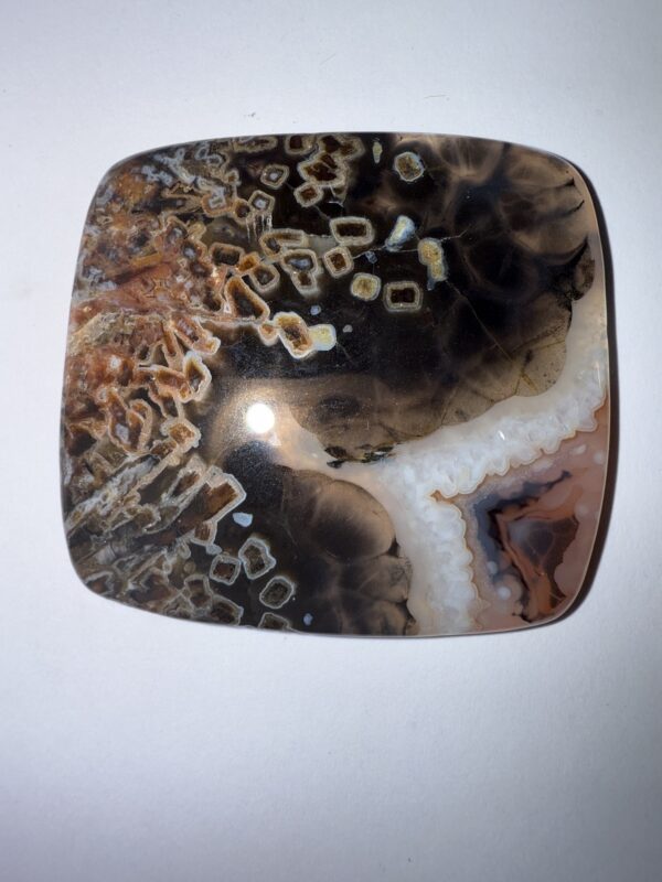 Turkish Stick Agate (466)