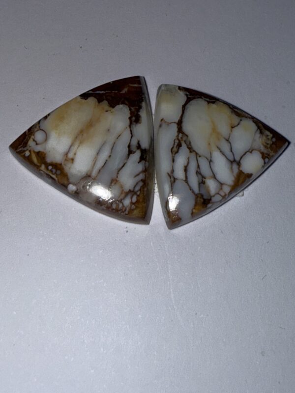 Wild Horse Magnitite Earring pair (097)