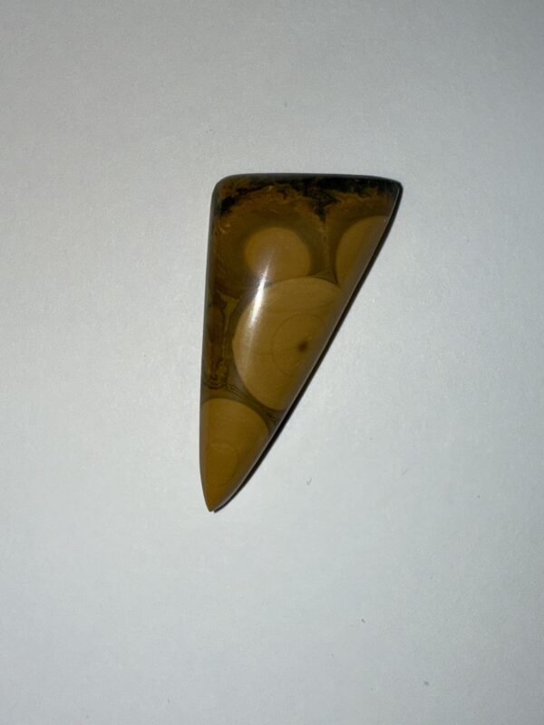 Indonesian Ocean Jasper (190)