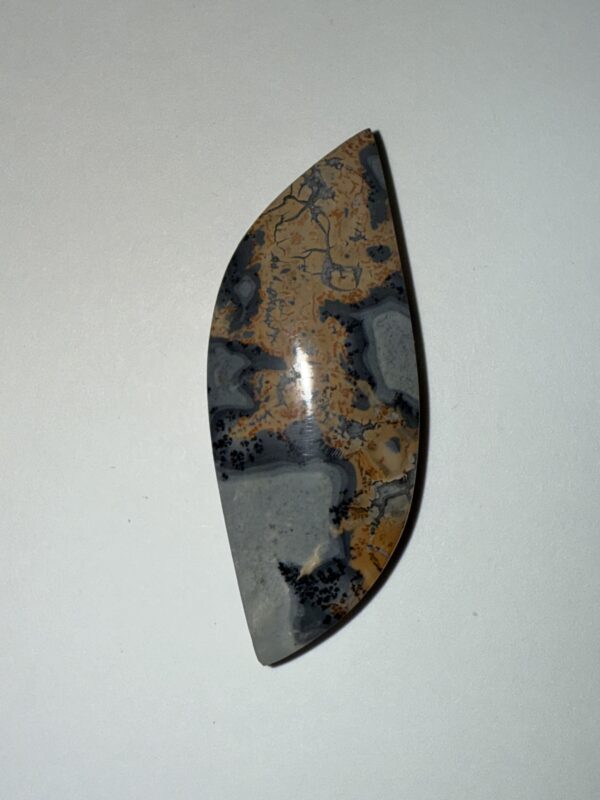 Malignano Jasper (182)
