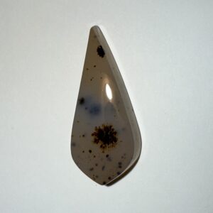 Montana Agate (923)
