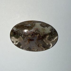 Moss Agate “Octopus” (936)