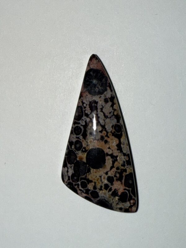 Multi Color Oolite (540)