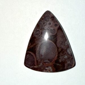 Mushroom Jasper Shield (539)
