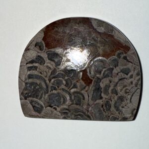 Mushroom Rhyolite (067)