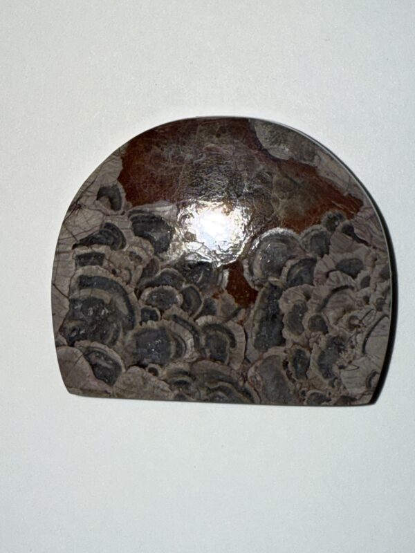 Mushroom Rhyolite (067)