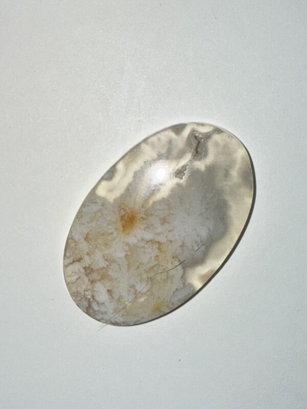 Nyedegger Plume Agate (128)