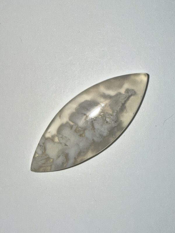Nyedegger Plume Agate (130)