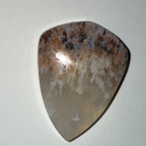 Nyssa Plume (256)
