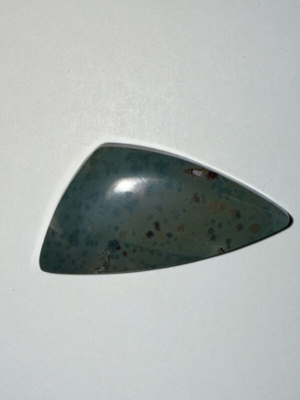 Ocean Jasper (008)