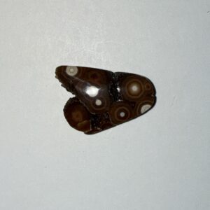 Ocean Jasper (369)