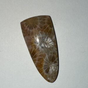Old Stock Coral Shield (147)