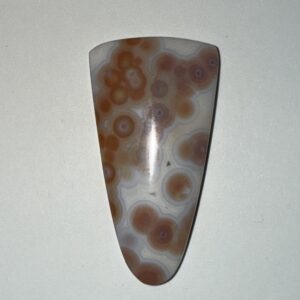 Orbicular Ocean Jasper Shield (224)