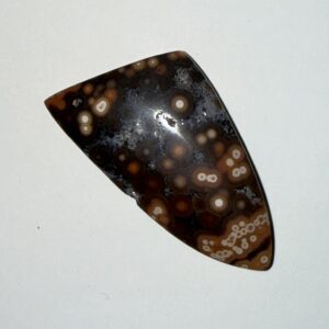 Orbicular River Jasper Shield (119)