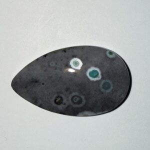 Opalized Wood (382)