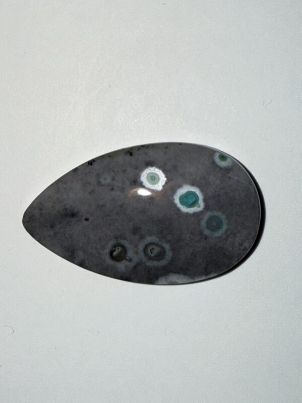 Opalized Wood (382)