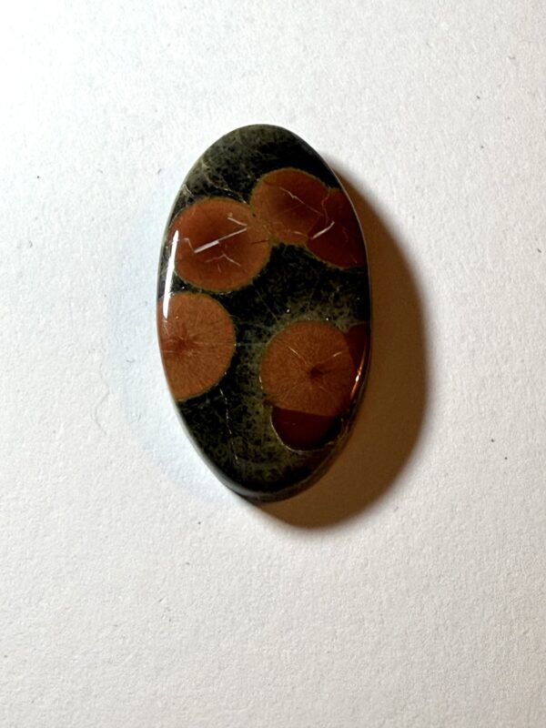 Peanut Obsidian (509)